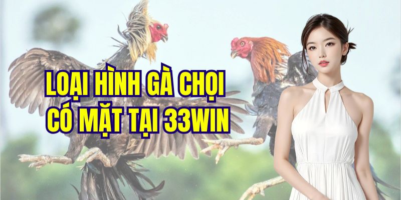 Loại hình chọi gà cựa sắt cực thú vị, hồi hộp