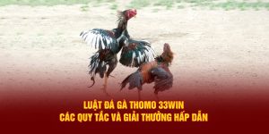 Luật Đá Gà Thomo 33WIN - Các Quy Tắc Và Giải Thưởng Hấp Dẫn