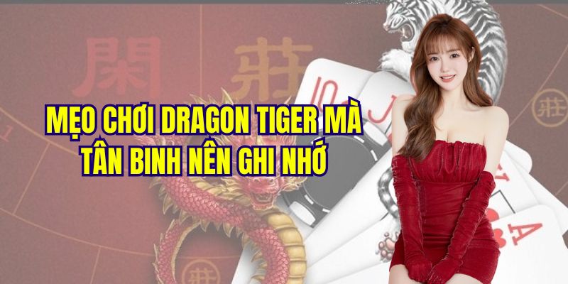 Thủ thuật cá cược dragon tiger cho người mới