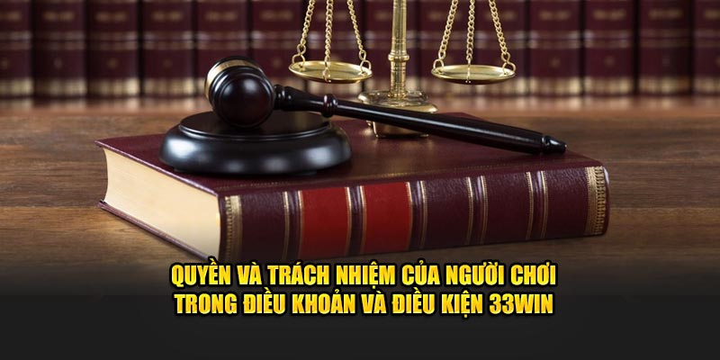 Quyền và trách nhiệm của người chơi trong điều khoản và điều kiện 33win