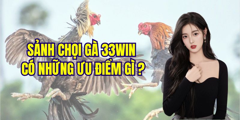 Tìm hiểu các điểm sáng nổi trội của danh mục